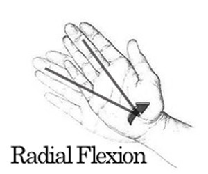 radial flexion, is the movement of bending the wrist to the thumb, or radial bone, side.